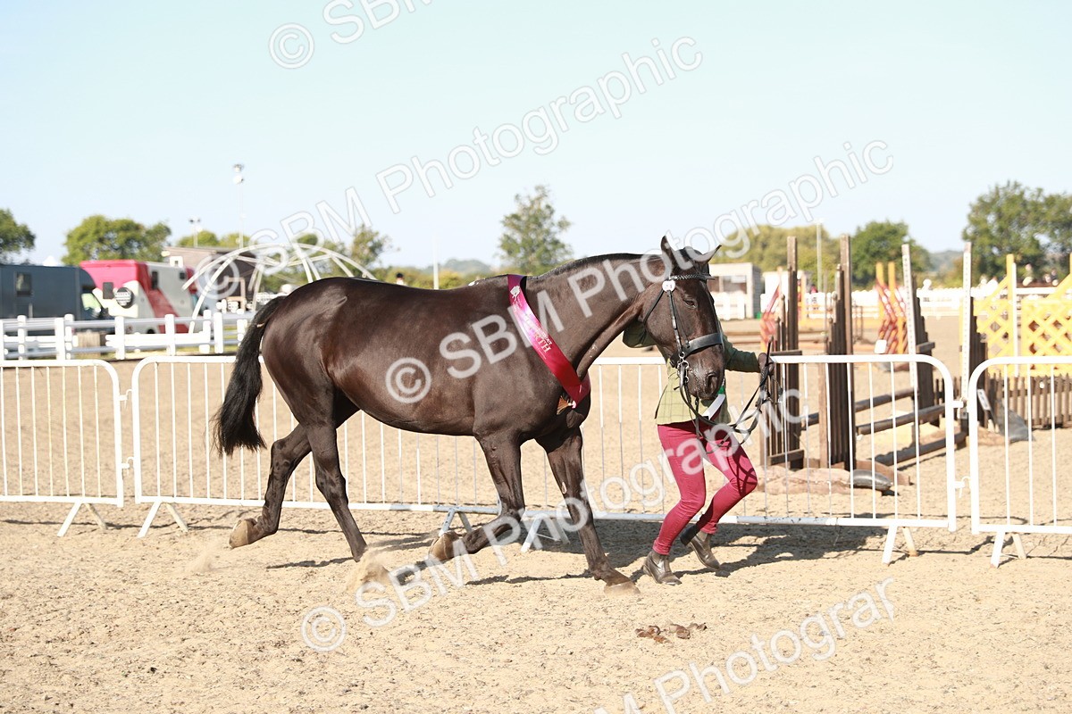 SBM_00176 - Class 40 Best Turned Out IH