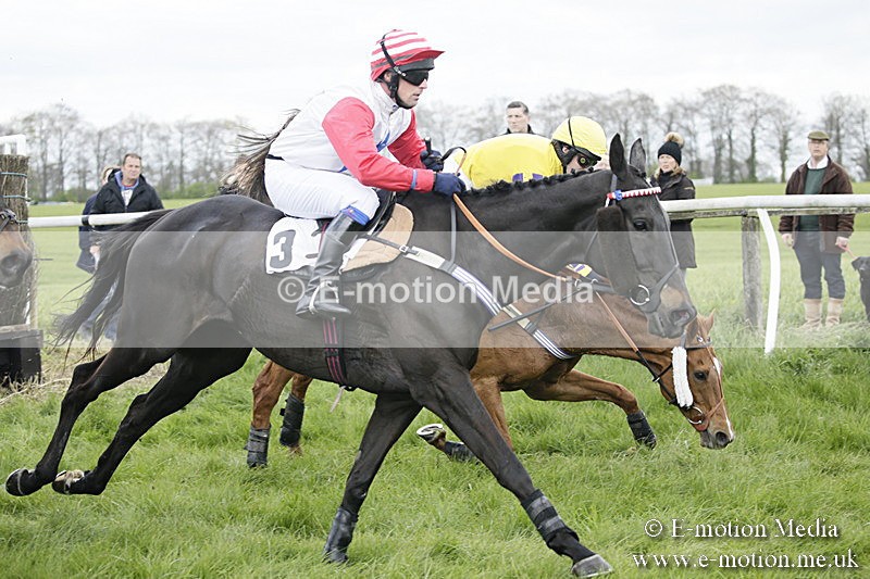 PtP 170417 37 - Old Berks Point-to-Point Lockinge 17/04/17