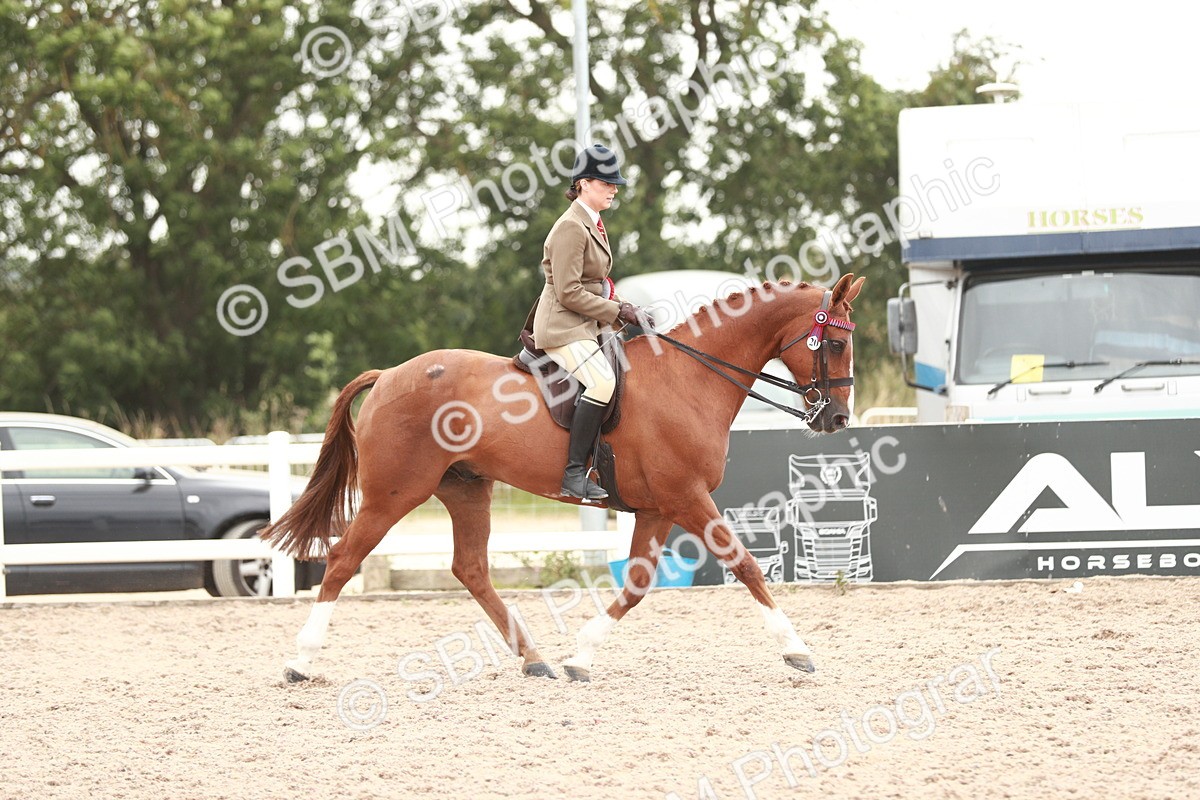 SBM_17643 - Class 215 Ridden Hack/ Riding Horse