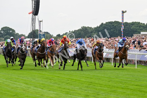 260725-Race 2-Elmonjed-0309 - Race 2 2.00pm Sky Bet Dash Handicap