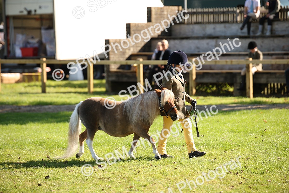 SBM_36594 - S10 - Best In Hand Horse & Pony