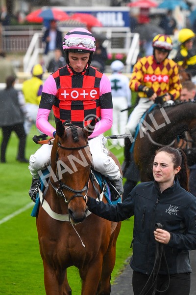 140723-Race 4-Andaleep-0341 - Race 4 3.50pm Azets Handicap