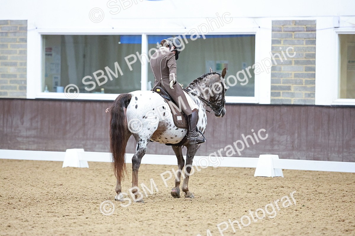 SBM_021414 - Class 14 - FEI Grand Prix - 17.40-18.34
