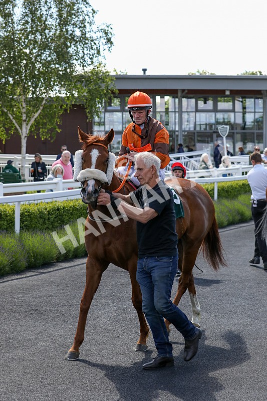 080624-Race 3-Without Delay-4745 - Race 3