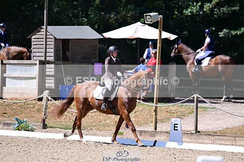 260731A-112814-00494 - Elementary Silver 11- Break