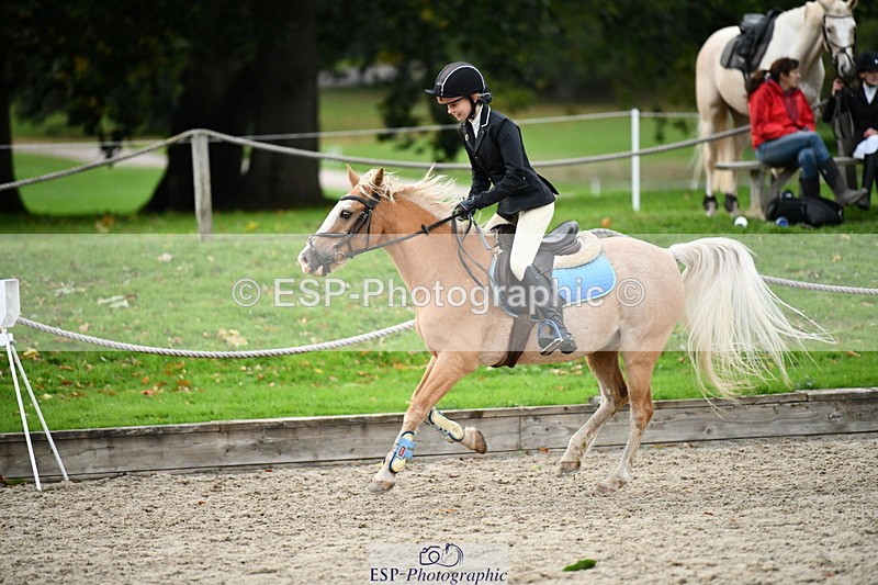 251004A-165817-02320 - Classes 10 & 11 80cm