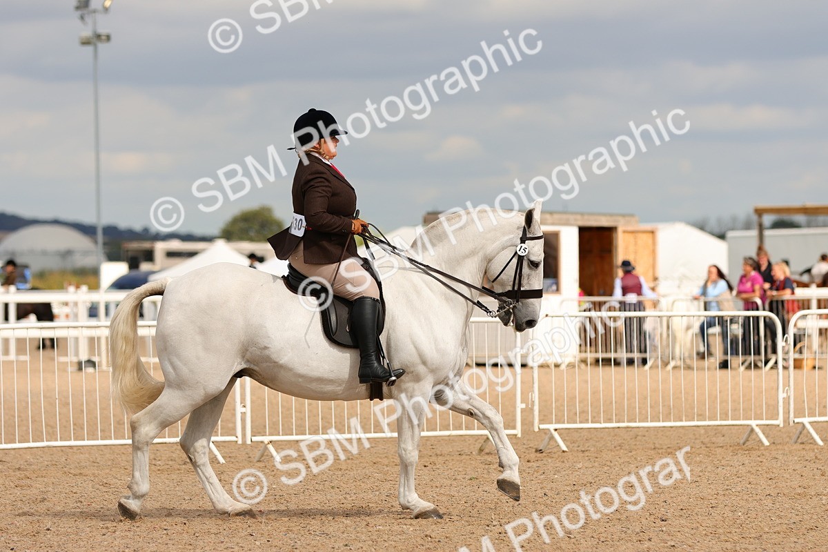 SBM_15560 - Class 214 - Ridden Show Cob