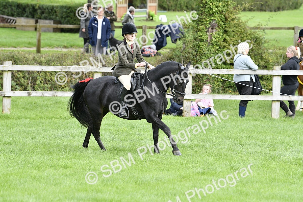 SBM_41593 - S32 - Mountain & Moorland Working Hunter Pony