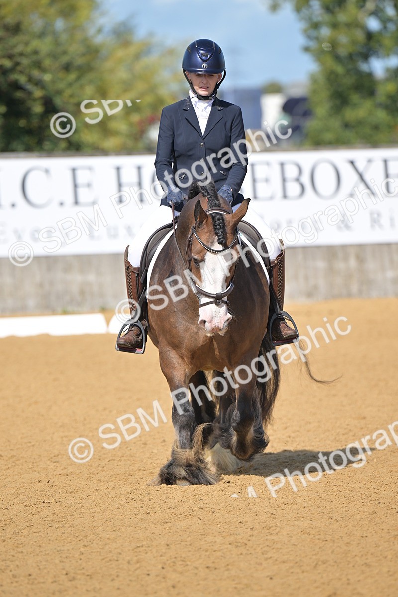 SBM_03942 - D2 - Small Tour Championship Intro 2