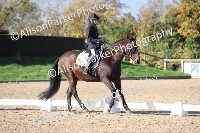 20251101-0627 - Class 5 - Novice 3