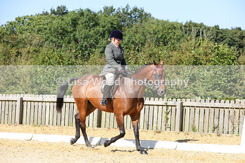 1X9A7901 - Class 10:Riding Horse