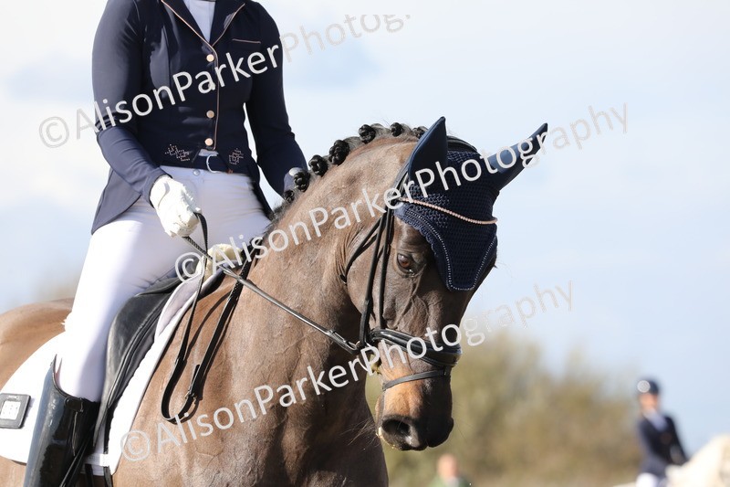 20260314-5022 - CT6 - Elementary 1