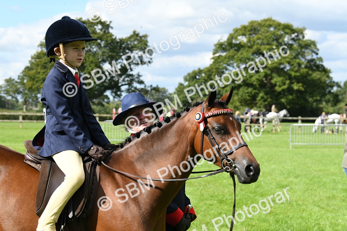 SBM_41231 - S19 - Lead Rein Show & Show Hunter Pony