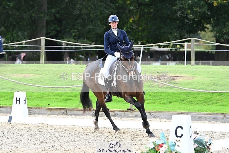 231019-145357-04313 - 057-OVERTON.TILANA'S.GOLD-Claire.Deuten-DR