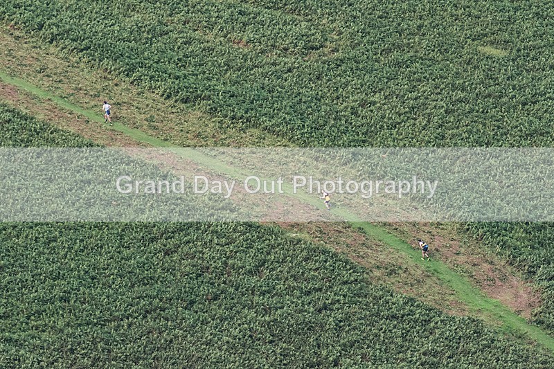Barrow-7 - Barrow Fell Race Monday 26th August 2024