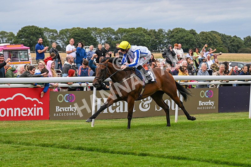 150824-Race 3-Go On Rosie-7873 - Race 3