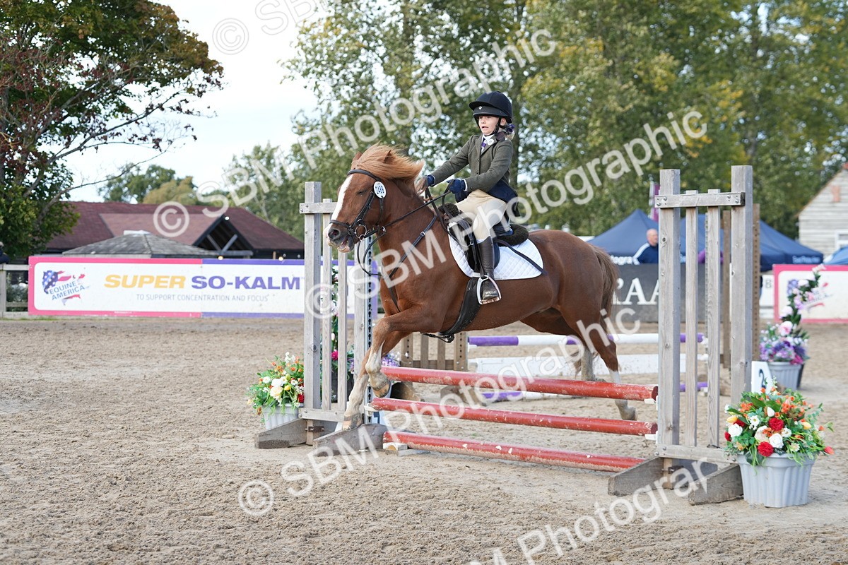 SBM_46744 - J7 - Junior Pony 60cm Championship