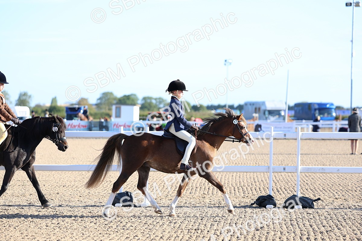 SBM_07789 - Class 301 - Ridden M&M - Small Breeds