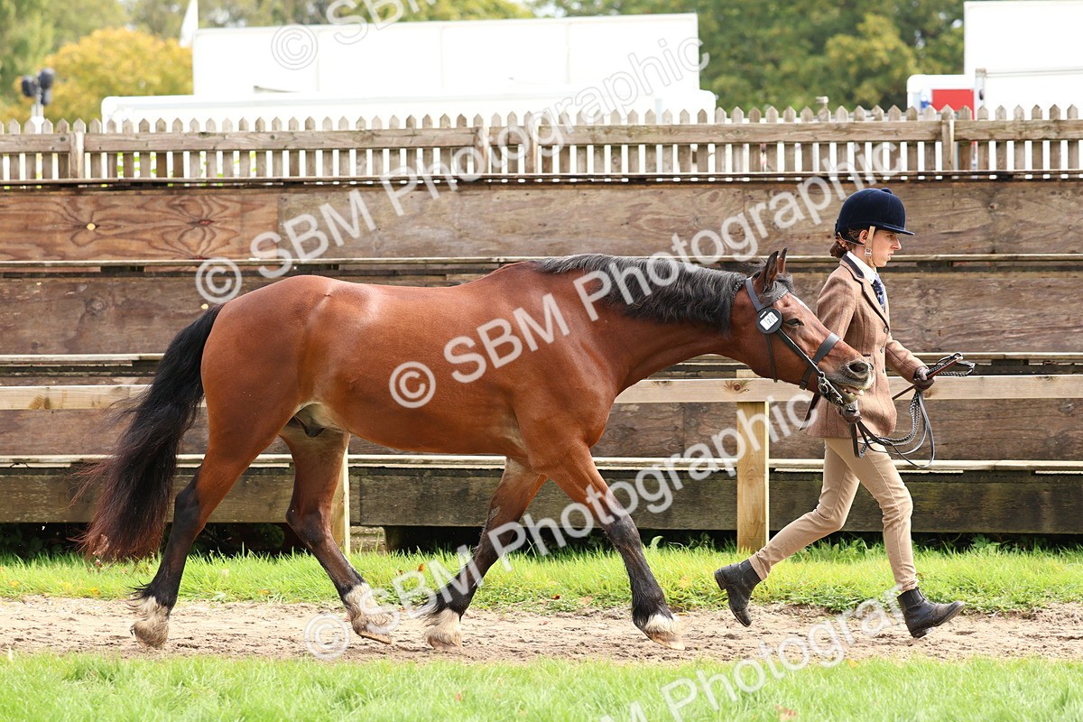SBM_40738 - S25 -  Veteran In Hand