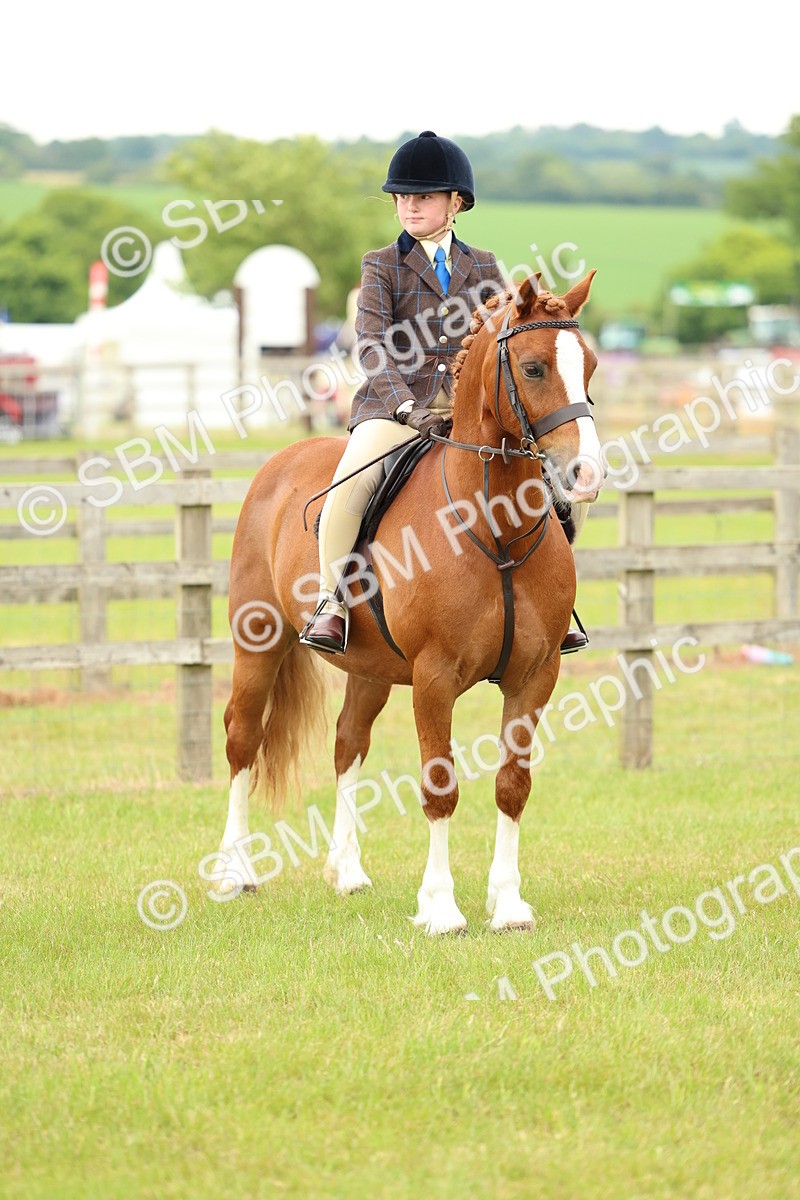 SBM_10382 - Class 44-45 - LIHS BSPS Open Nursery and Cradle Stakes