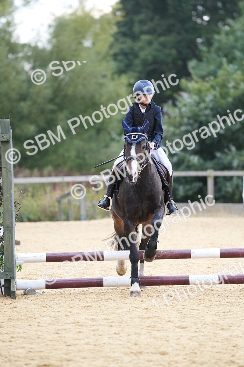 SBM_74654 - J4 - Mini Tour Junior Pony 45cm Championship