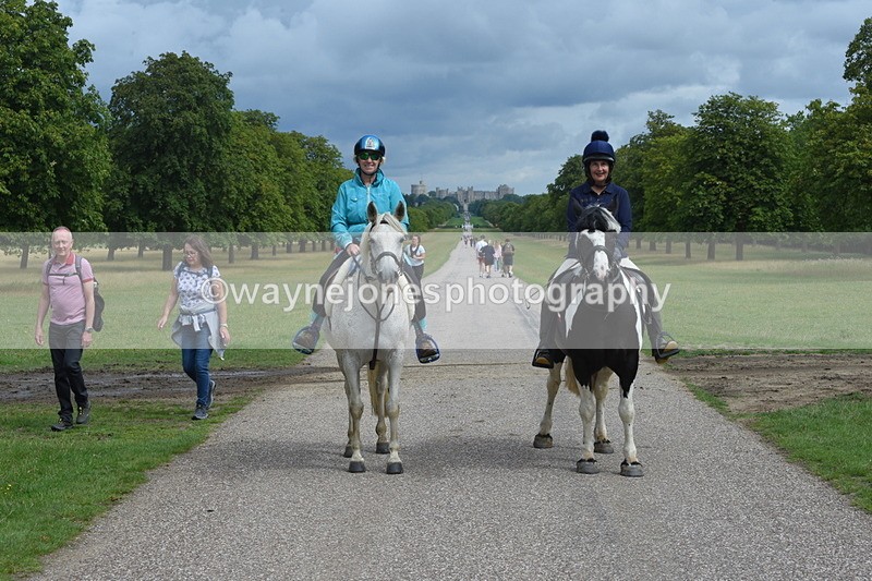 TT3_9179 - Time at Crossing 09:22 to 11:26