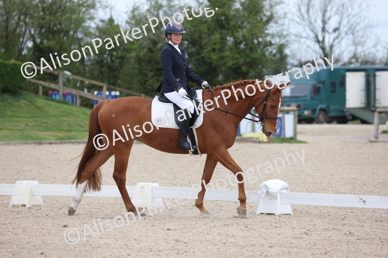 20260404-0137 - Class 2 - Intro 4