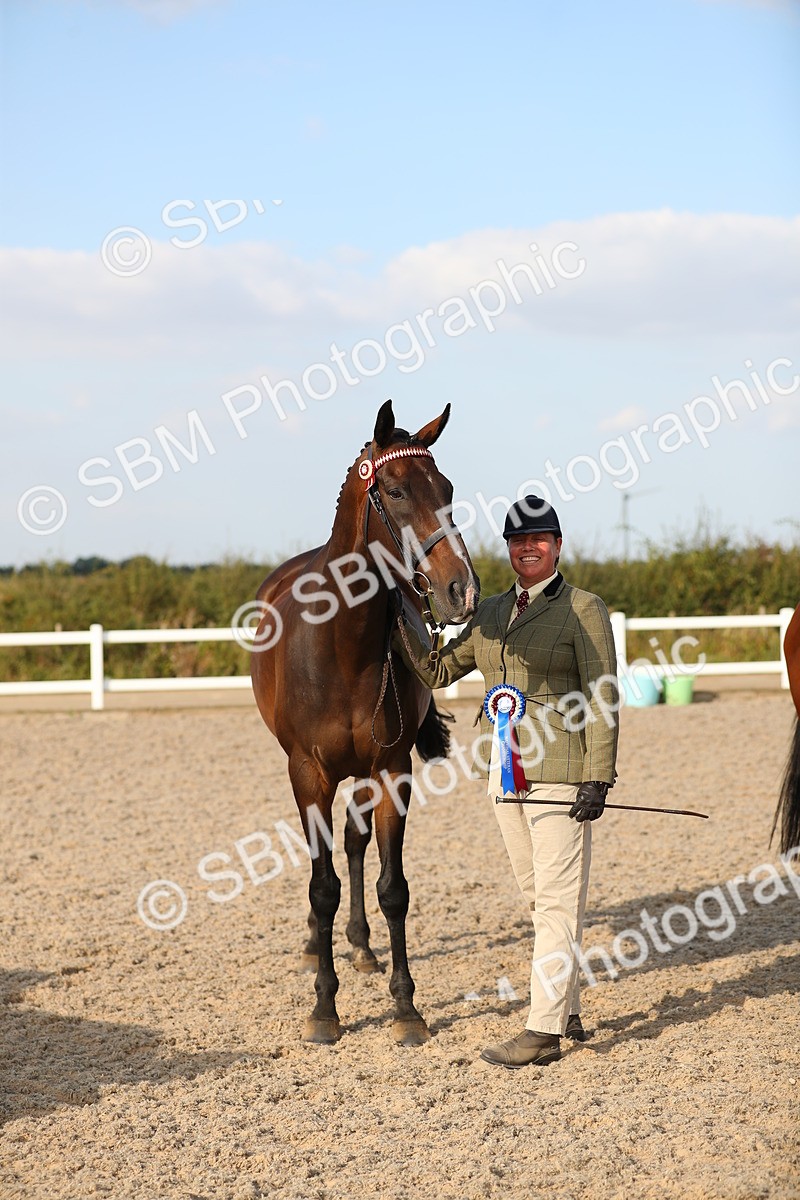 SBM_08679 - Class 28 - IH Veteran Horse