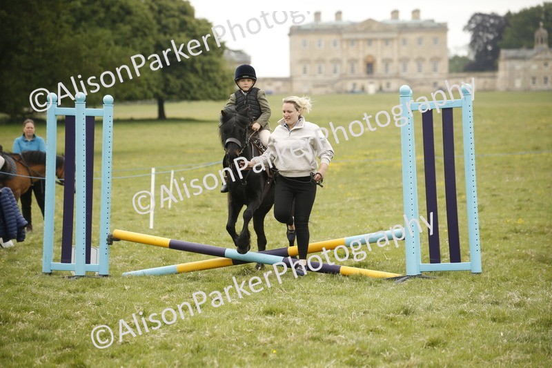 20250517-0295 - Class 1 - 30cm On Lead Rein