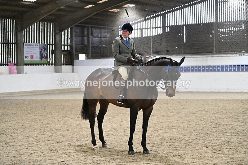 WJ7_4330 - Class 17 Ridden Cob