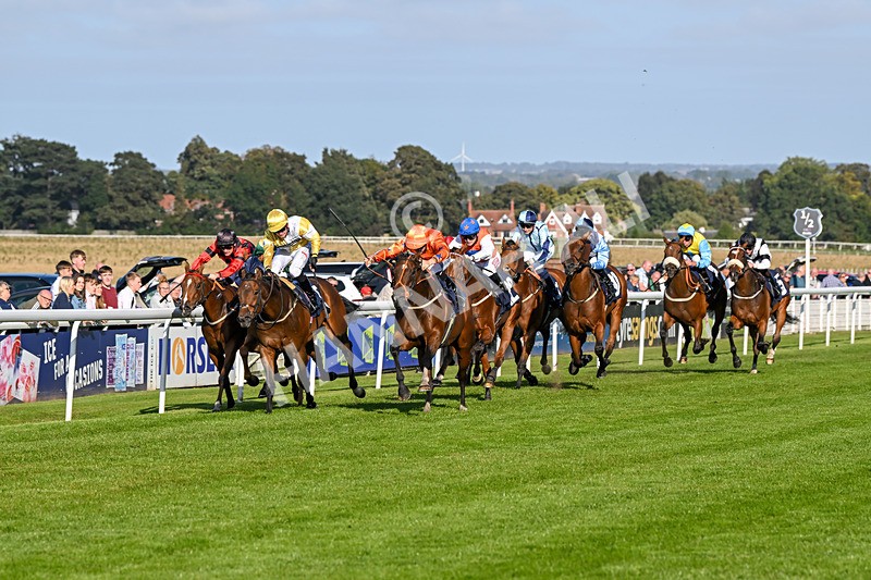 180924-Race 6-Elegant Erin-5015 - Race 6