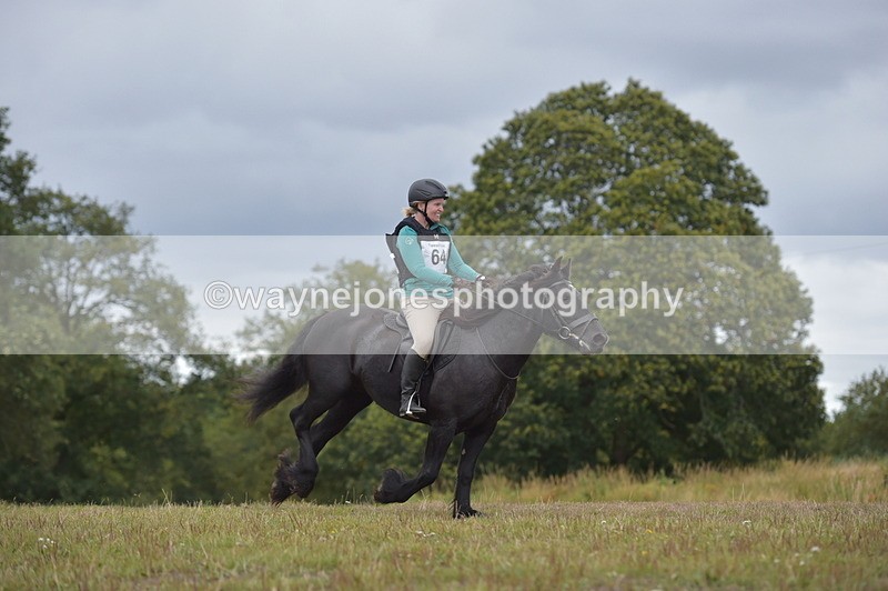 NGP_2761 - XC Time 11:37 to 11:57