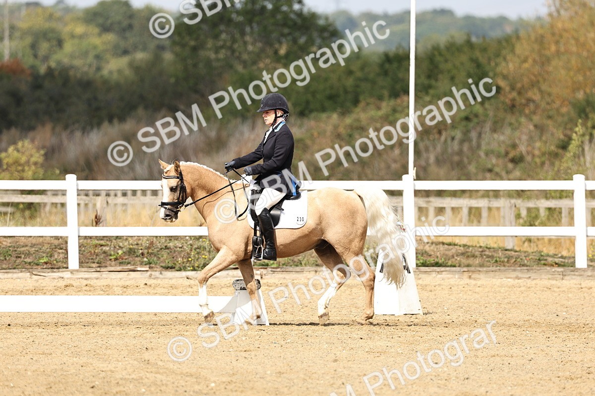 SBM_018204 - Class 16 - Novice 5 - 11.12-12.01