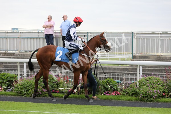 yr24072021r4-1 - Race 4 3.50pm Sky Bet Britain's Most Popular Online Bookmaker EBF Restricted Novice Stakes (Plus 10