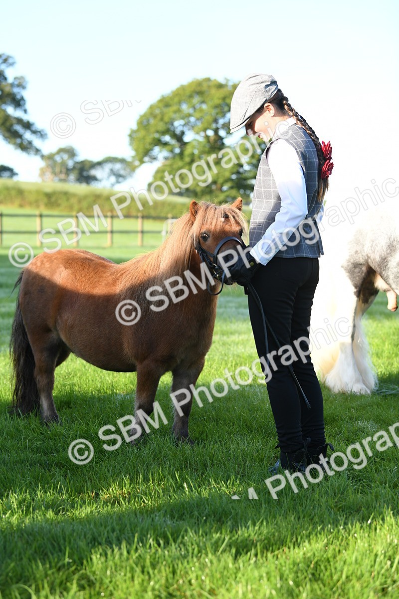 SBM_32783 - S15 - Condition & Turnout In Hand