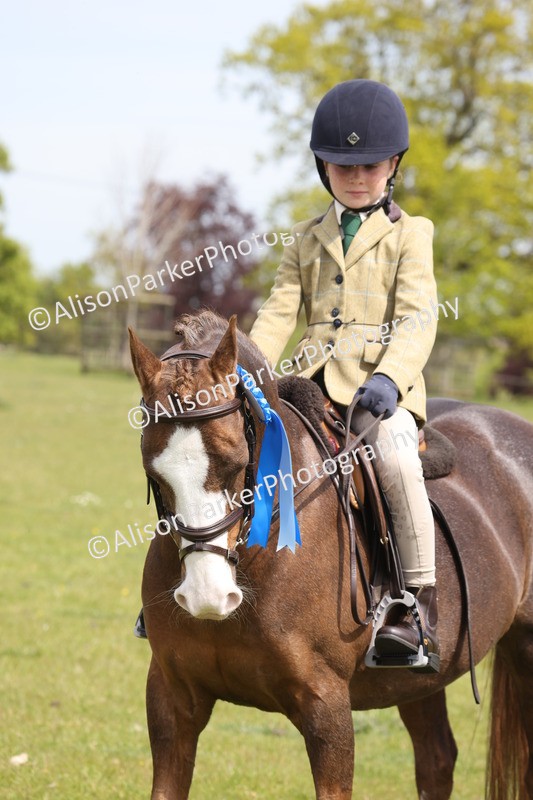 20260426-4013 - Class 33 - Best Pony 14.2hh and Under