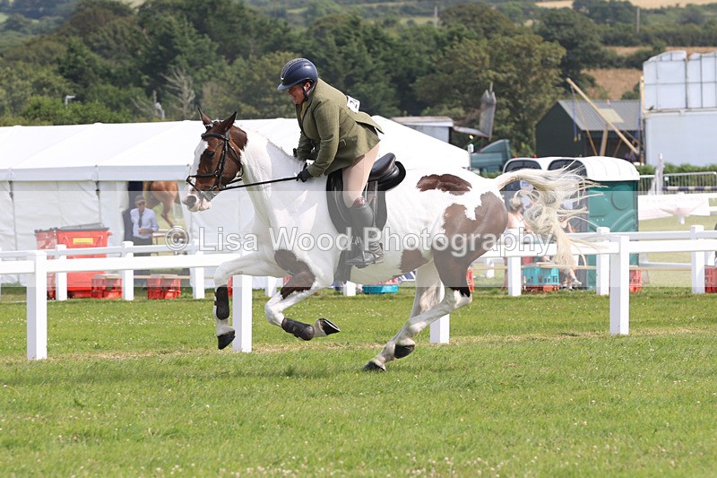 JPP_4055 - Class 24: Working Hunter 90cm