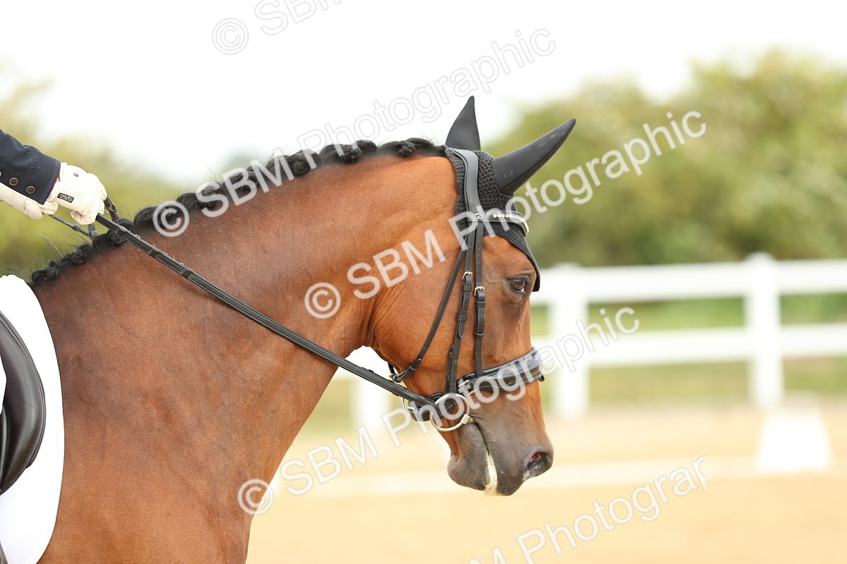 SBM_017887 - Class 14 - Novice 23 - 15.16-16.19