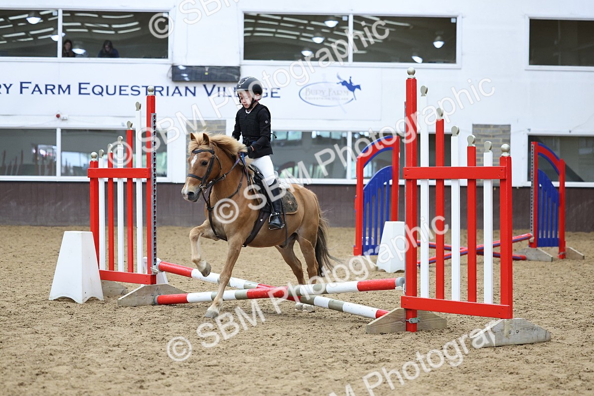 SBM_006927 - Class 1 - 40cm showjumping