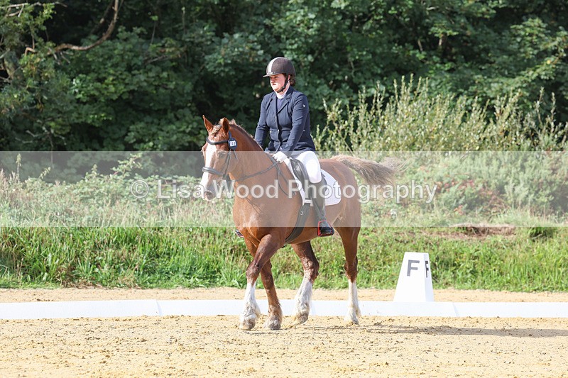 3E7A2253 - Class 1: Intro 4 2024 section A