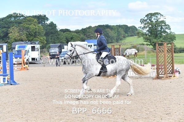 BPP_6666 - CLASS 2 Club/ Unaffiliated 80cms Open