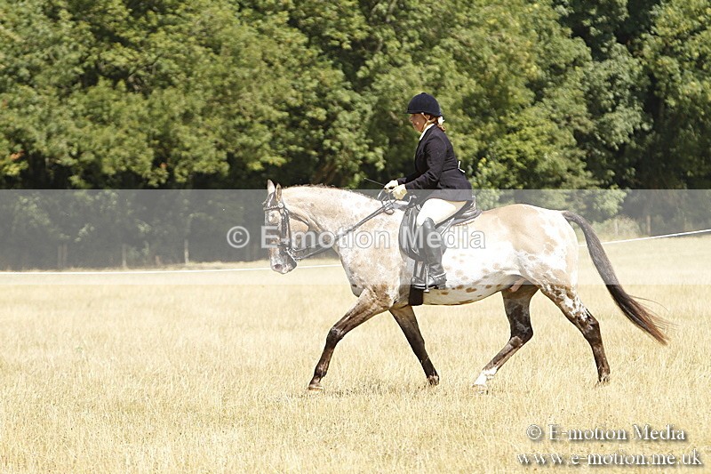 _BS_0748 - BVRC Show 2018 Ring 1