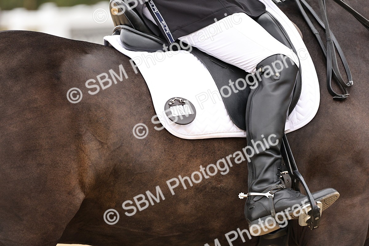 SBM_019742 - Class 18 - Elementary 5