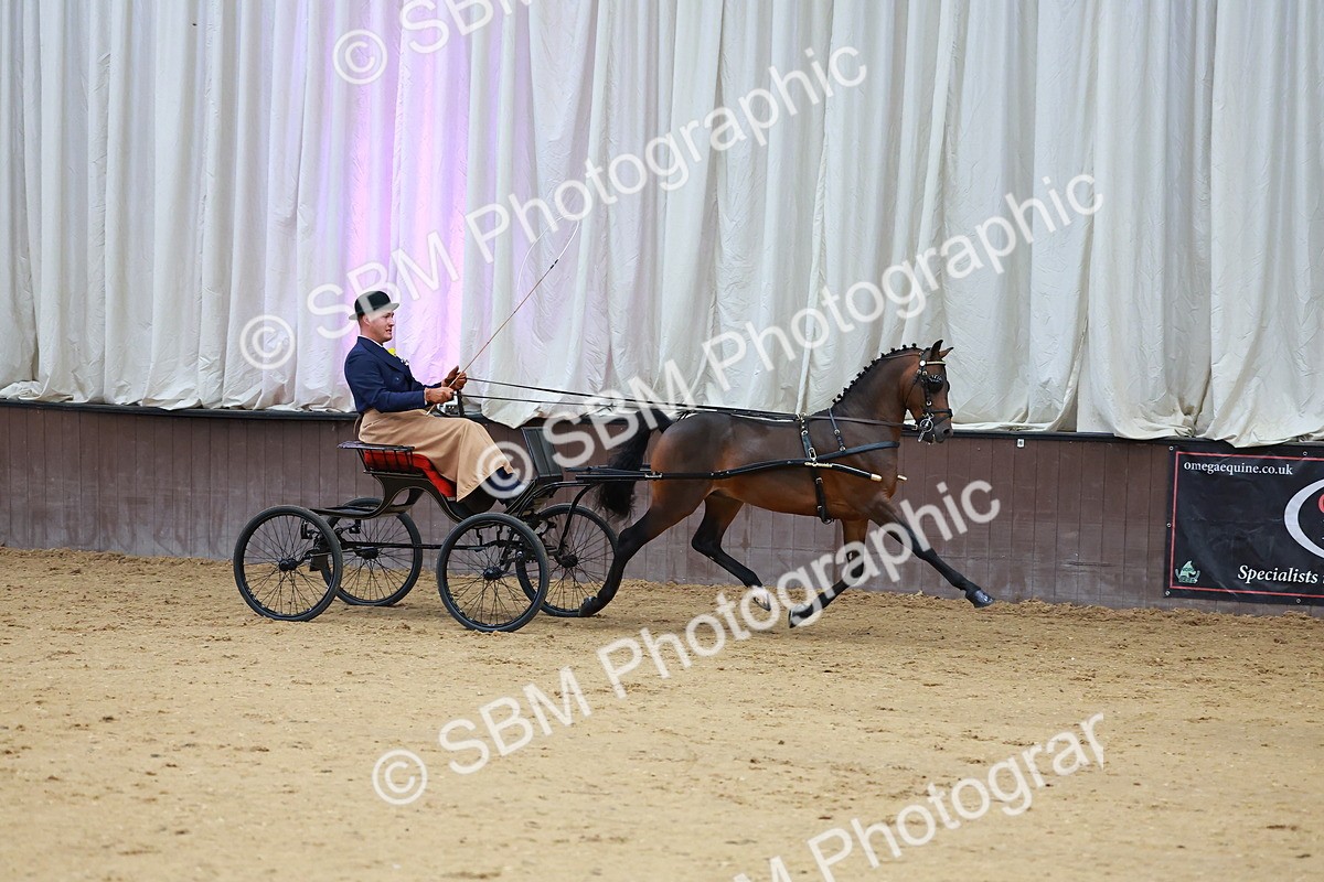SBM_000630 - Class 9 - HHS Championship Intl Hackney Pony to a Showwagon