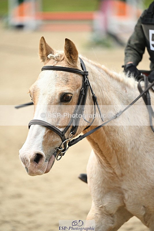 240822X-151657-10748 - 50cm R1 15.00 to 16.00