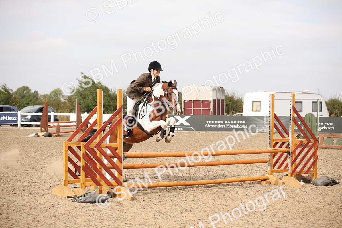 SBM_17136 - Class 409b - Working Veteran 80cm (20+)