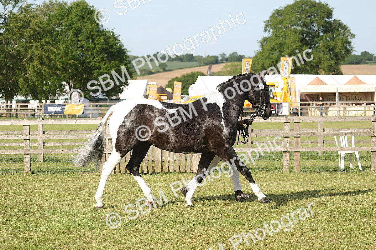 SBM_10427 - Class 33-38 - SSADL RIHS Qualifiers