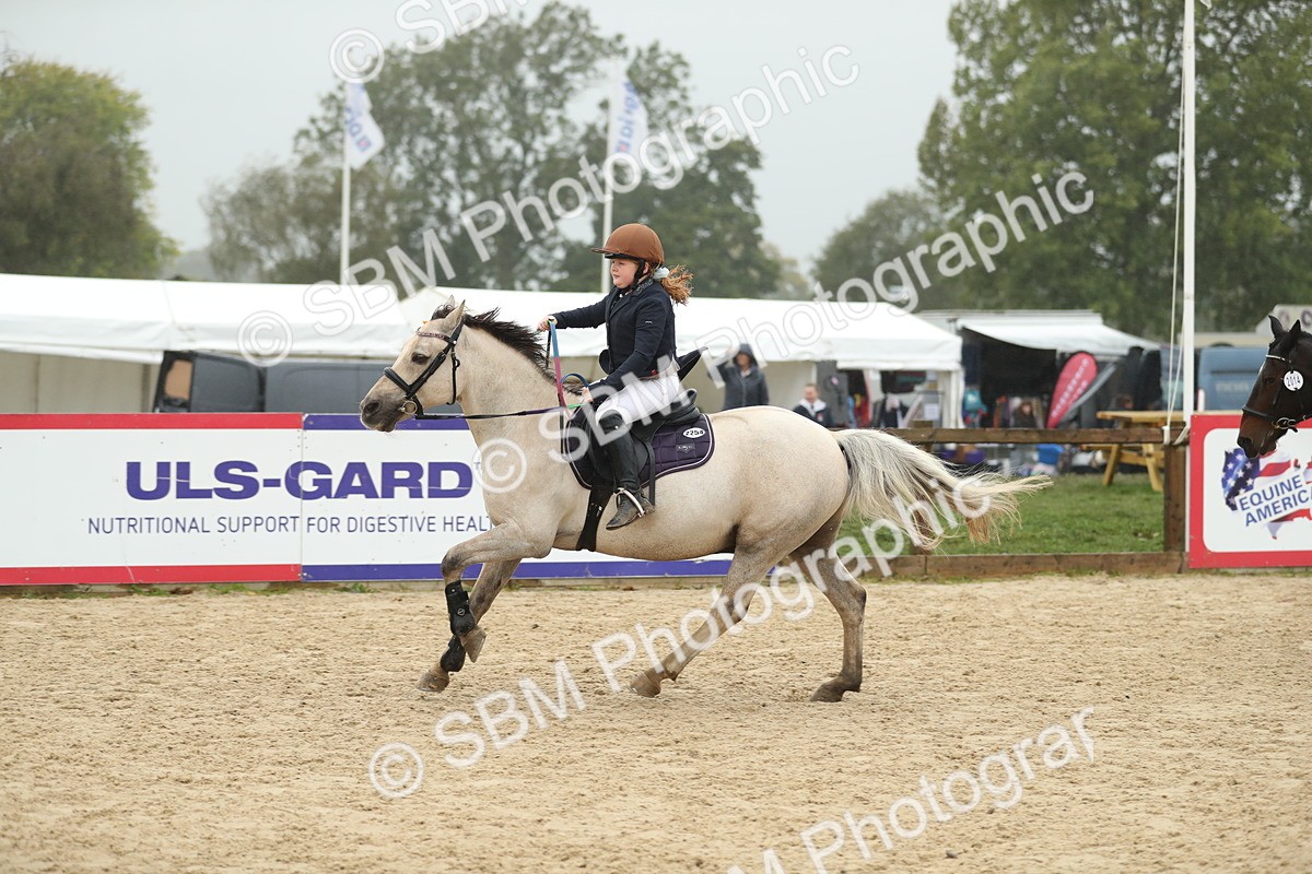 SBM_74154 - J16 - Junior Pony 75cm Championship