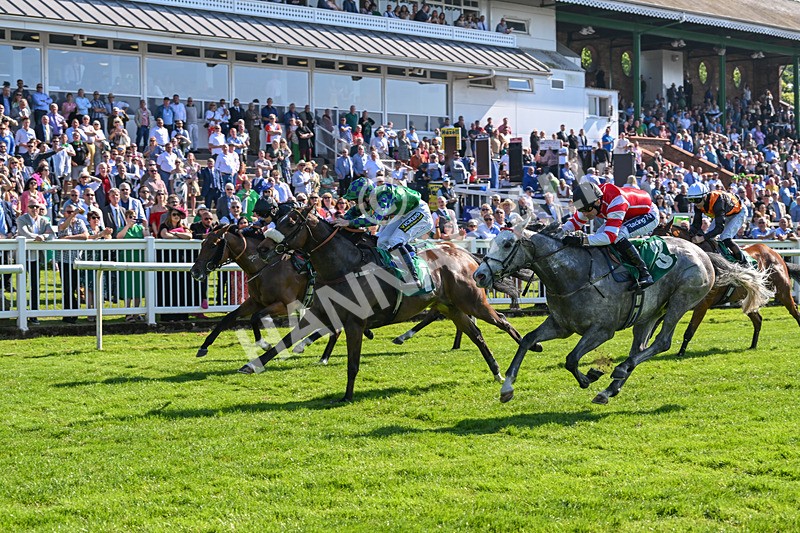 180524-Race 5-Tinto-9707 - Race 5