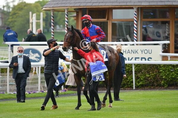 yr14052021r6-24 - Race 6 4.15pm Yorkshire Equine Practice Stakes